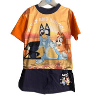 Boys Bluey and Bingo Short Pyjamas Top and Shorts Baby Age 1 - 5 Years