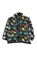 Boys Girls Colour Changing Raincoat Dinosaurs Dogs Cats Pirates Unicorns Jacket Coat Age 2-8 Yrs