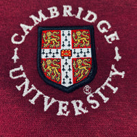 Boys Girls Cambridge University Hoodie Sweatshirt Top Age 3 - 13 Years